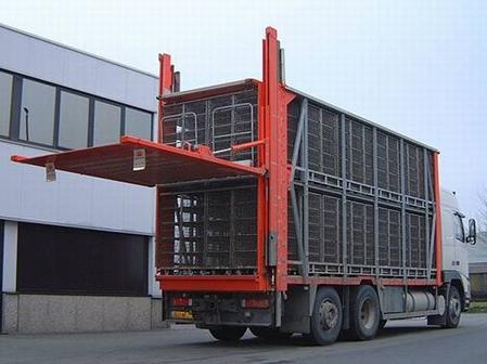 垂直升(shēng)降汽車尾闆