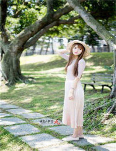 渣总追妻火葬场全文免费阅读